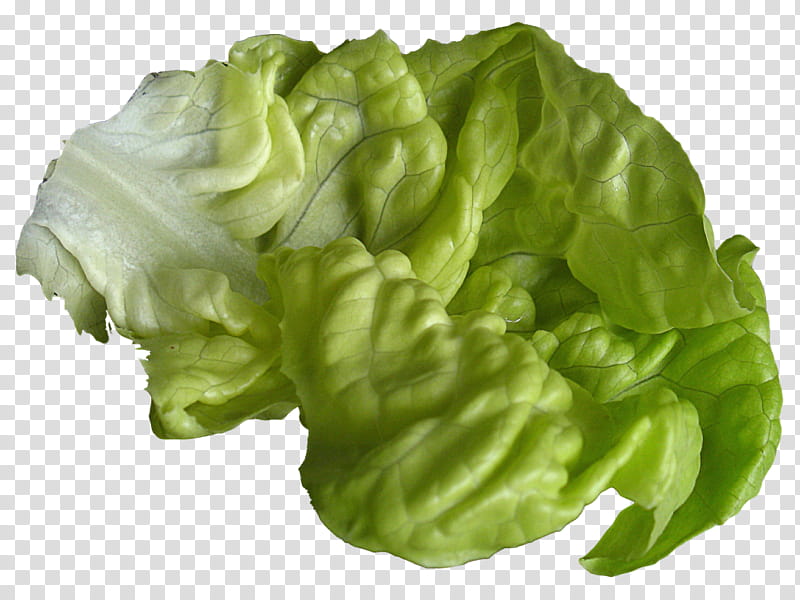 Green Leaf, Lettuce Sandwich, Hamburger, Vegetarian Cuisine, Romaine Lettuce, Caesar Salad, Vegetable, Burger King Hamburger transparent background PNG clipart