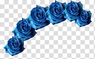 Coronita de flores azules transparent background PNG clipart
