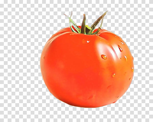 Tomato, Natural Foods, Solanum, Orange, Fruit, Plum Tomato, Vegetable, Plant, Bush Tomato transparent background PNG clipart