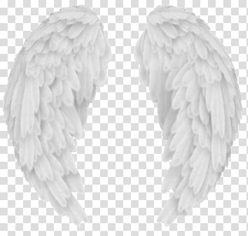 , angel wings art transparent background PNG clipart