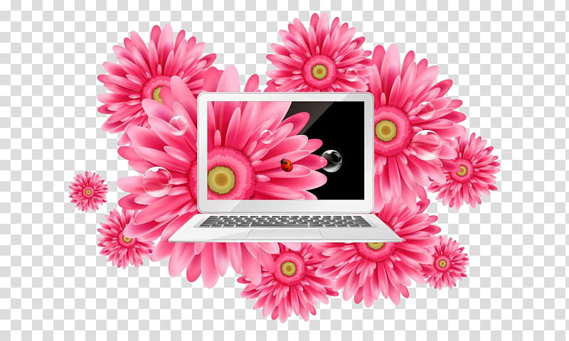 Flowers, Computer Monitors, Laptop, Desktop Computers, Asus, 169 Aspect Ratio, Widescreen, Pink transparent background PNG clipart