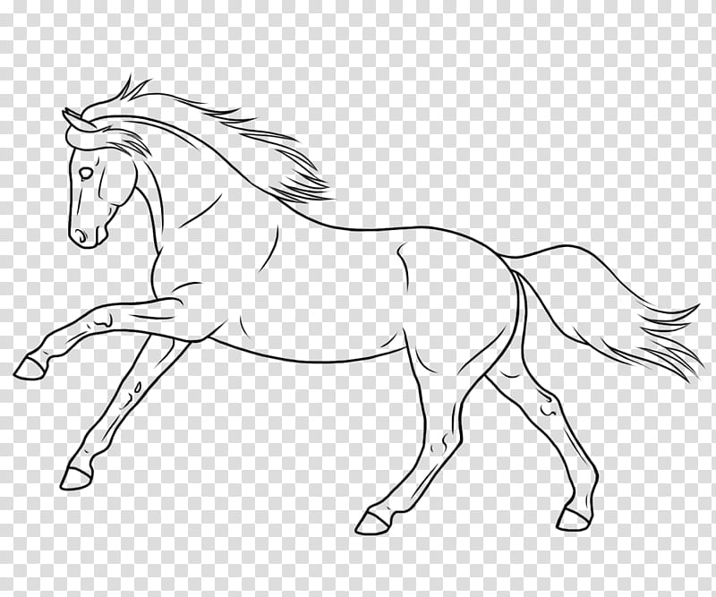 Spanish Horse Lineart REDONE transparent background PNG clipart