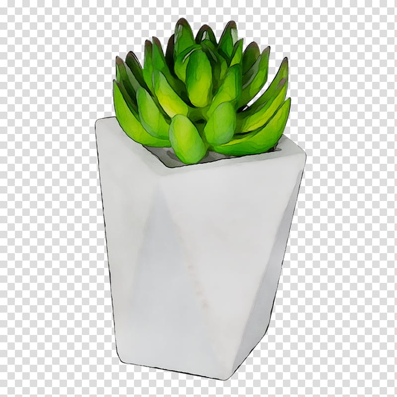 Banana, Plants, White, Flowerpot, Green, Echeveria, Vase, Ceramic transparent background PNG clipart