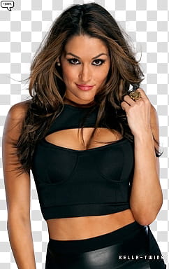 Nikki Bella,,SAM () transparent background PNG clipart