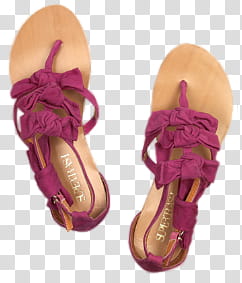Shoes set, pair of pink-and-brown flat sandals transparent background PNG clipart