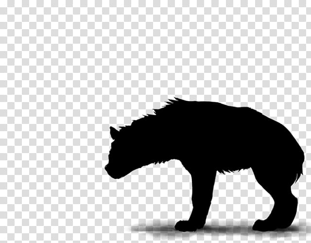 Cat Silhouette, Hyena, Lion, Striped Hyena, Drawing, Animal, Spotted Hyena, Bear transparent background PNG clipart
