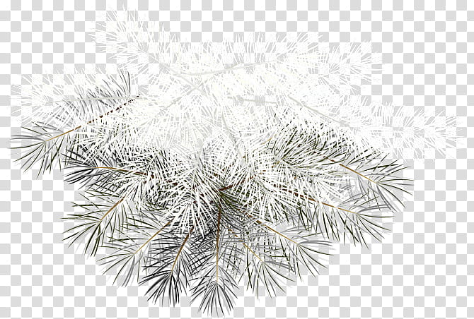 White Christmas Tree, Santa Claus, Christmas Day, Christmas Ornament, Gift, Hamper, Decoupage, Christmas Decoration transparent background PNG clipart