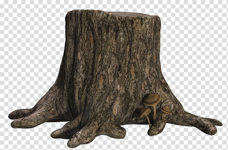 Tree Stump transparent background PNG clipart