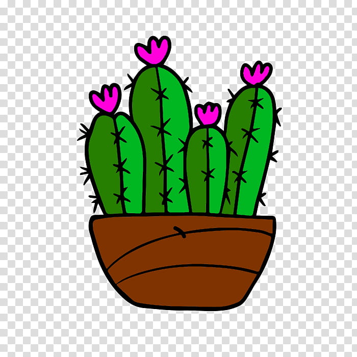 Cactus, Flowerpot, Houseplant, Plants, Aechmea, Prickly Pear, Room, Video transparent background PNG clipart