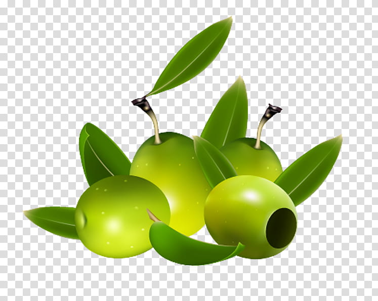 Olive Oil, Olive Leaf, Food, Ingredient, Fruit, Plant transparent background PNG clipart