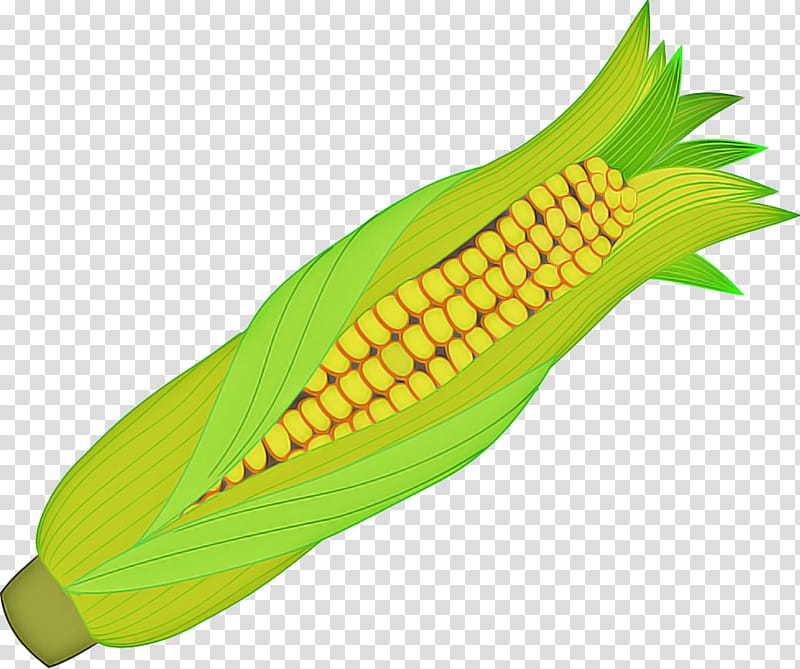 Candy corn, Corn On The Cob, Vegetarian Cuisine, Maize, Food, Corncob, Sweet Corn, Cereal transparent background PNG clipart