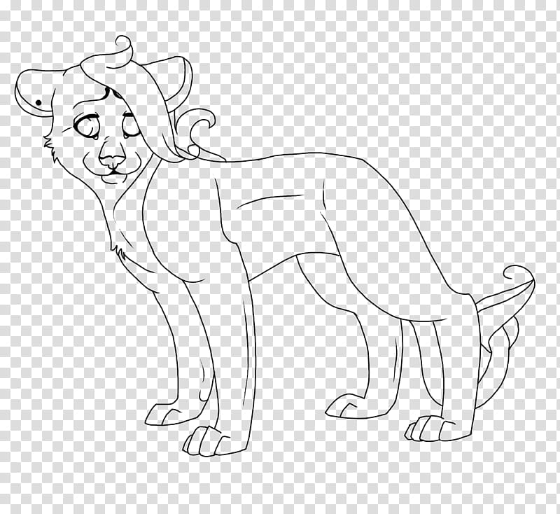 Free Lioness Line art transparent background PNG clipart