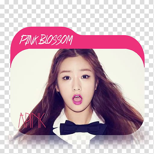 APINK PINK BLOSSOM EXTREME FOLDER ICONS , Bomi # transparent background PNG clipart