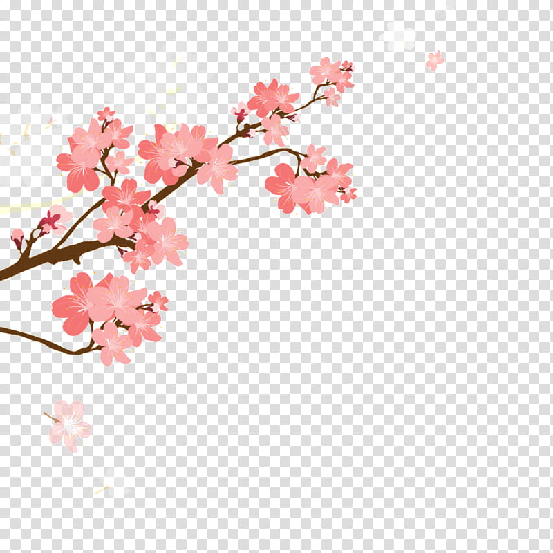 School Background Design, Japan, Floral Design, Flower, Poster, Creativity, Gift, Pink transparent background PNG clipart