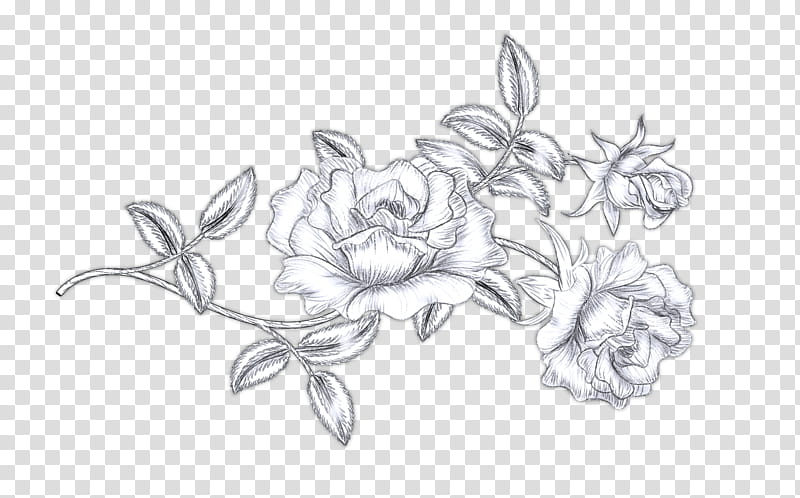 gray and black flower sketch transparent background PNG clipart