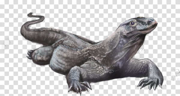 Komodo dragon, crawling monitor lizard illustration transparent background PNG clipart