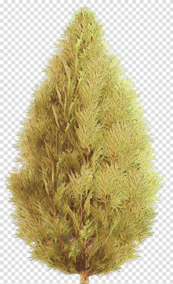 White Christmas Tree, Spruce, Fir, Larch, Pine, Conifers, Temperate Coniferous Forest, Christmas Day transparent background PNG clipart