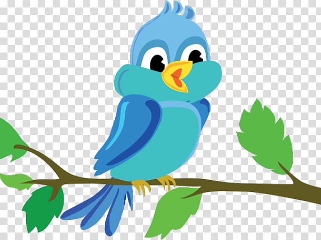 Bird Parrot, Cartoon, Owl, Tree, Branch, Drawing, Bluebird, Beak transparent background PNG clipart