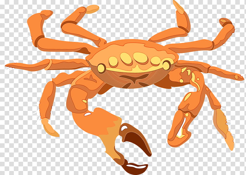 Orange, Watercolor, Paint, Wet Ink, Crab, Rock Crab, Freshwater Crab, Cancridae transparent background PNG clipart