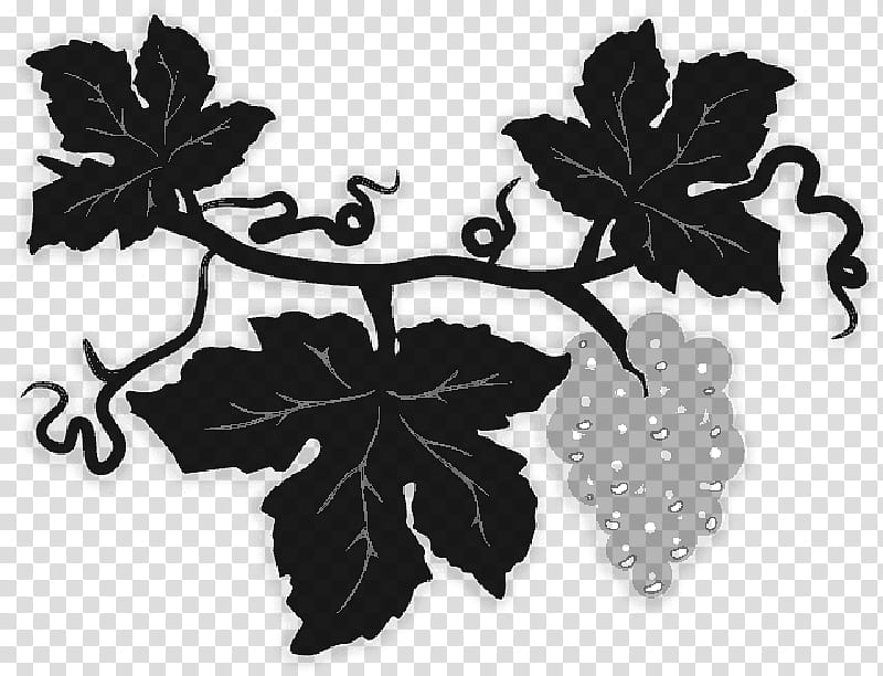 Family Tree, Grape, Leaf, Grape Leaves, Plant, Blackandwhite, Flower, Plane transparent background PNG clipart