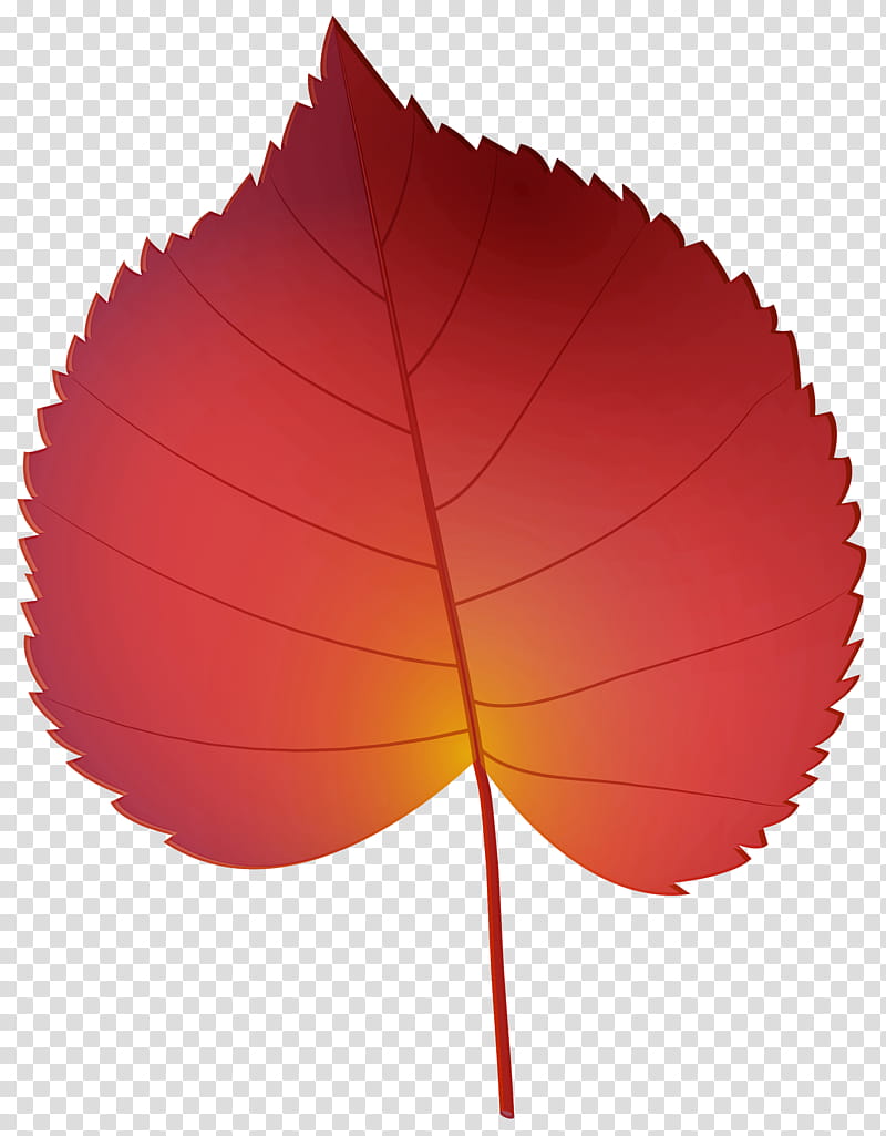 Orange, Leaf, Red, Tree, Plant, Flower, Deciduous, Coquelicot transparent background PNG clipart