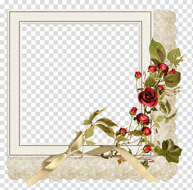 Flower Frame, Frames, Film Frame, Cuadro, BORDERS AND FRAMES, Flower Frame, Frame Roses Daum, Plant transparent background PNG clipart