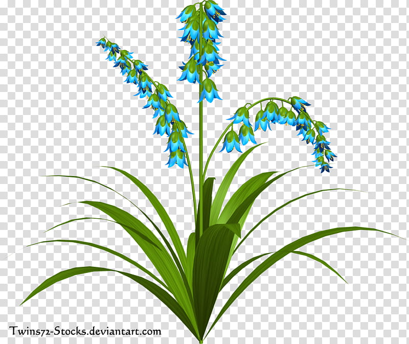 fairy flower, blue flowers illustratoin transparent background PNG clipart