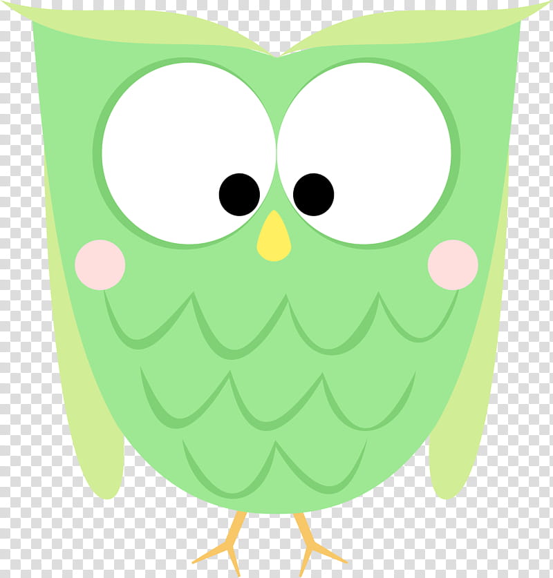 Cartoon Bird, Owl, Little Owl, Drawing, Barn Owl, Beak, Bird Of Prey, Green transparent background PNG clipart