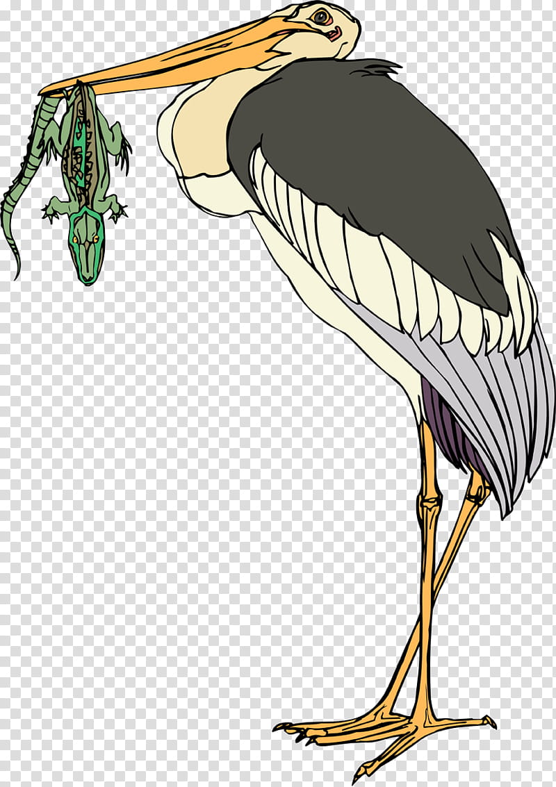 Crane Bird, Stork, Beak, Vulture, Neck, Wing, Ciconiiformes transparent background PNG clipart