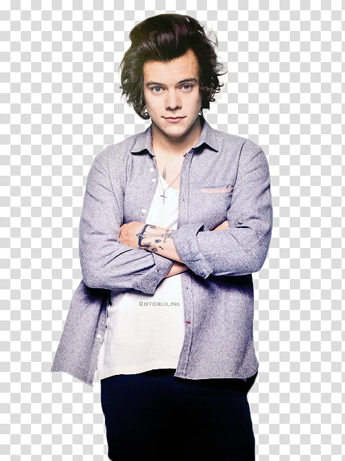Harry Styles  , Harry Style transparent background PNG clipart