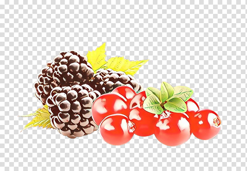 berry natural foods blackberry fruit food, Superfood, Plant, Frutti Di Bosco, Superfruit, Raspberry, Rubus, Currant transparent background PNG clipart