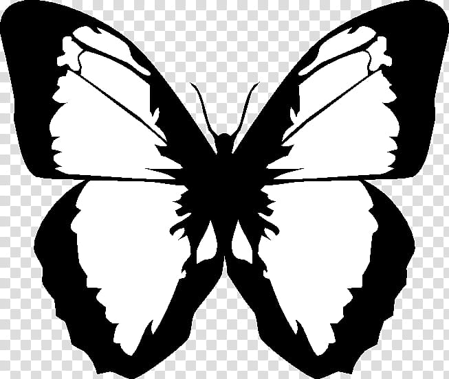 Butterfly Stencil, Paper, Sticker, Decal, Printing, Business Cards, Health Care, Fotolia transparent background PNG clipart