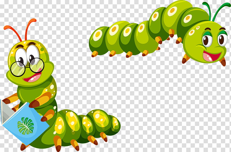 Caterpillar, Insect, Green, Color, Drawing, Cricket, Larva, Moths And Butterflies transparent background PNG clipart