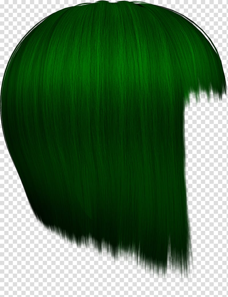 Hairstylez , green wig illustration transparent background PNG clipart