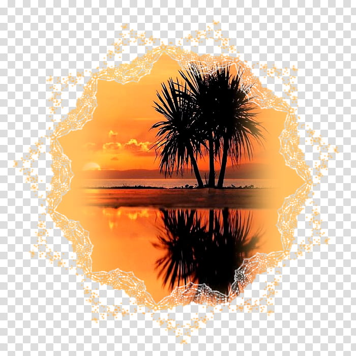 Palm Tree Drawing, Landscape, Sunset, Nature, Sunrise, Beach, Evening, Painting transparent background PNG clipart