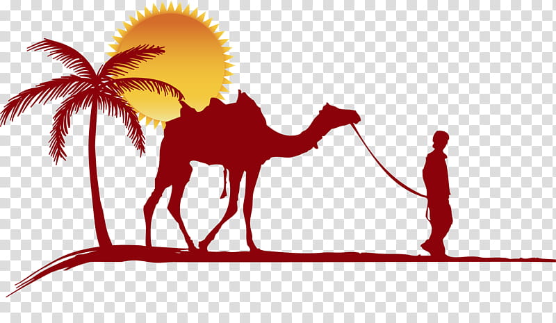 Camel Camel, Desert, Drawing, Merzouga, Sahara, Caravan, Camel Safari, Xerocole transparent background PNG clipart