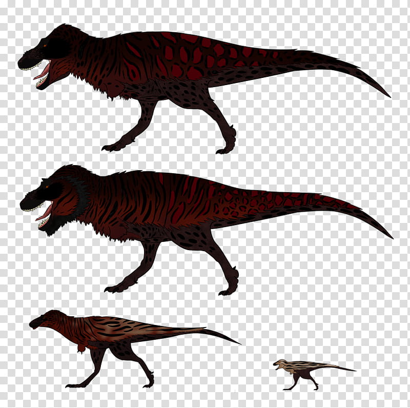 Animal, Tyrannosaurus, Velociraptor, Dinosaur, Hell Creek Formation, Reptile, Lance Formation, Triceratops transparent background PNG clipart