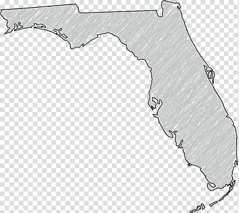 Map, Orange County Florida, Georgia, Alabama, Us State, Map Collection, United States Of America, Black And White transparent background PNG clipart