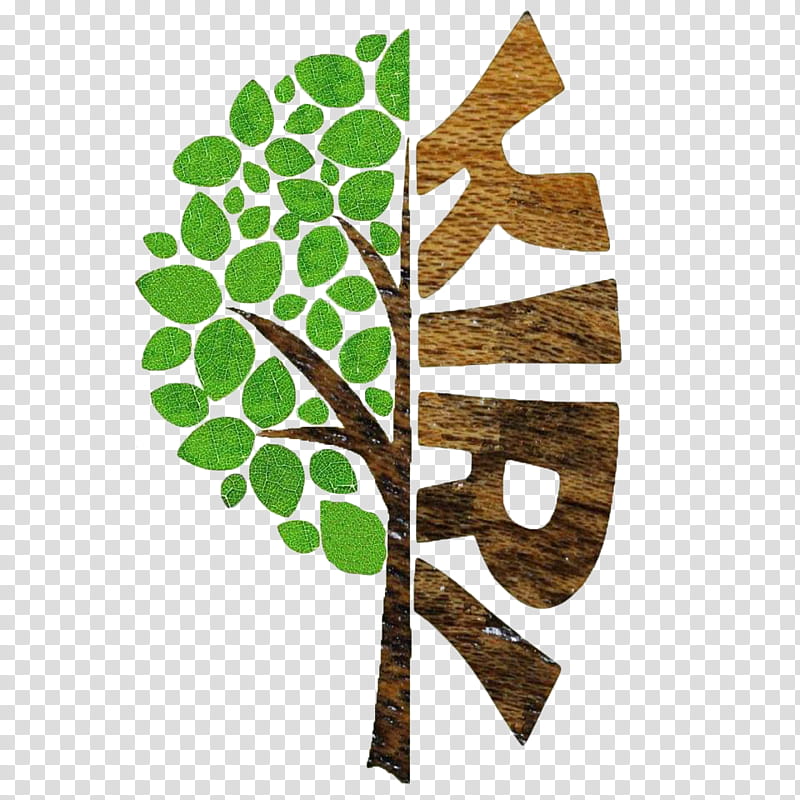 Oak Tree Leaf, Logo, Branch, Empress Tree, Stump Grinder, Lumber, Paulownia, Flora transparent background PNG clipart