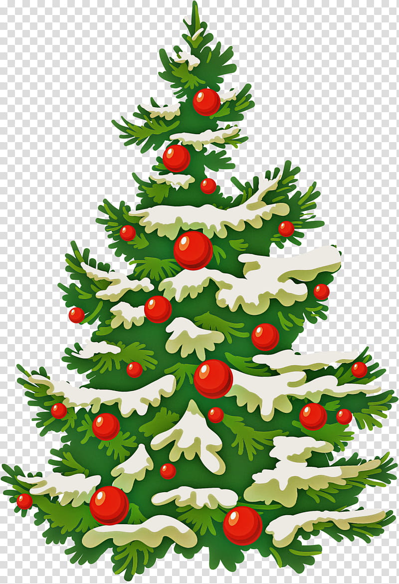 Christmas decoration, Christmas Tree, Colorado Spruce, Oregon Pine, Christmas Ornament, Plant, Holly, Evergreen transparent background PNG clipart