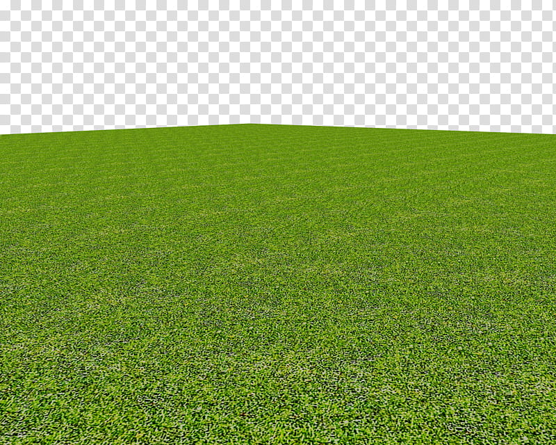 Grass , green grass field transparent background PNG clipart