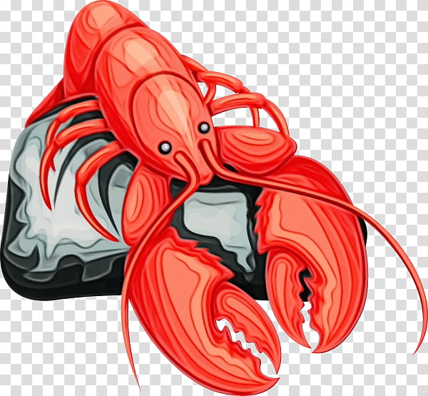 red footwear lobster seafood, Watercolor, Paint, Wet Ink transparent background PNG clipart