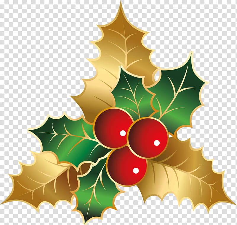 Background Family Day, Holly, Flower, Christmas Day, Aquifoliales, Christmas Ornament, RAR, Ornamental Plant transparent background PNG clipart