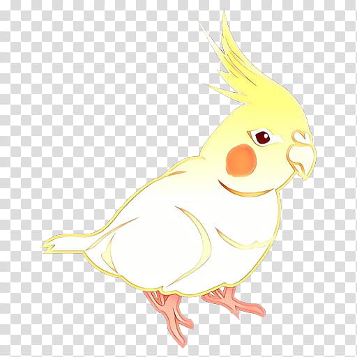 Bird Parrot, Cartoon, Cockatiel, Chicken, Rooster, Drawing, Cockatoo, Feather transparent background PNG clipart