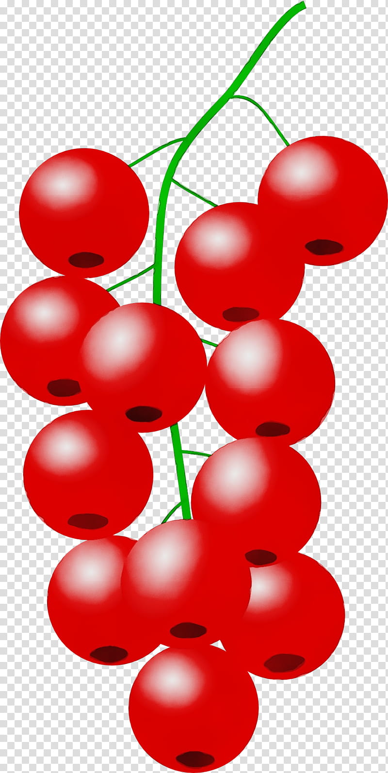 red currant fruit plant, Watercolor, Paint, Wet Ink, Seedless Fruit, Berry, Lingonberry, Cherry transparent background PNG clipart