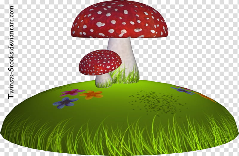 mushroomland, red-and-white mushroom transparent background PNG clipart
