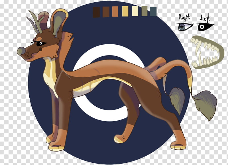 Kangaroo, Dog, Cartoon, Animation, Tail transparent background PNG clipart