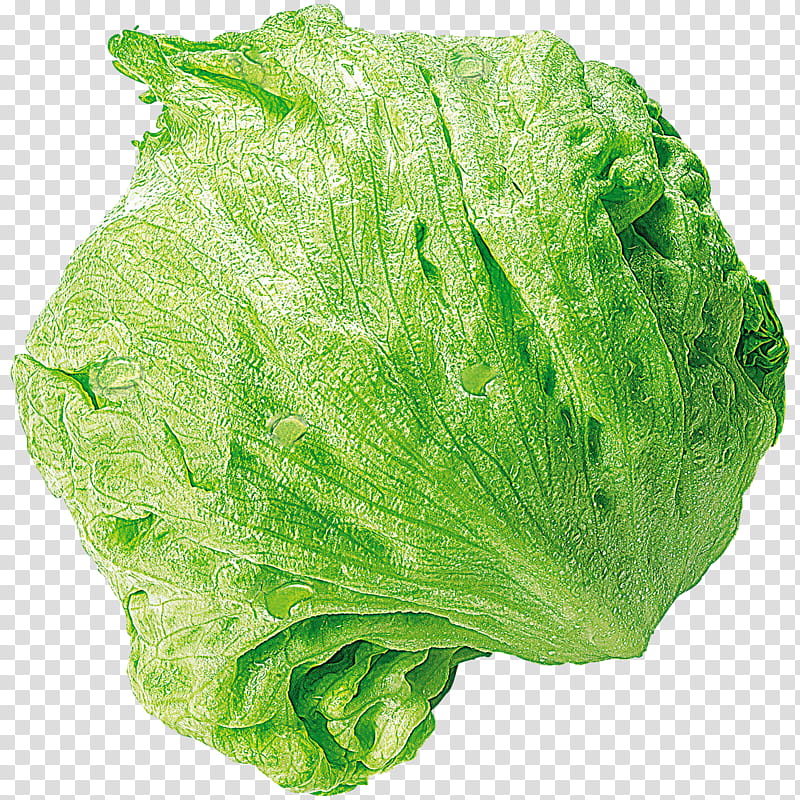 Green Leaf, Romaine Lettuce, Iceberg Lettuce, Collard Greens, Vegetable, Spring Greens, Salad, Curly Kale transparent background PNG clipart