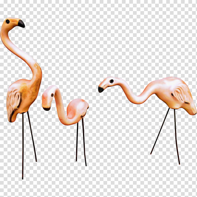 Flamingo, Body Jewellery, Beak, Greater Flamingo, Bird, Water Bird, Organism, Animal Figure transparent background PNG clipart