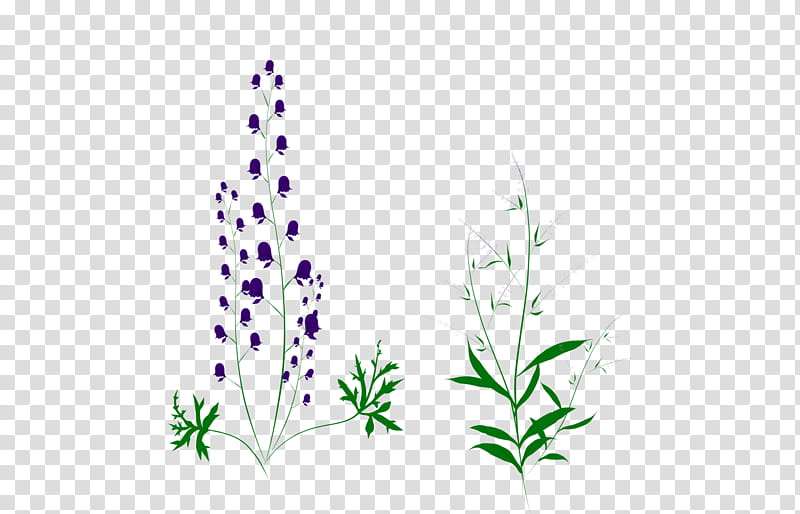 Wolfsbane and Mint transparent background PNG clipart